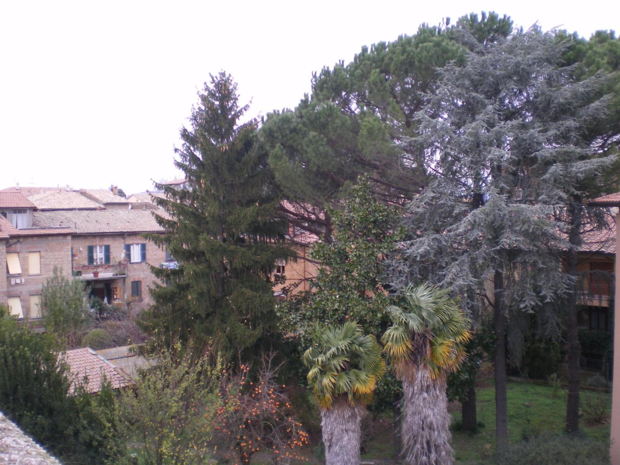 Hotel Valentino Centro Storico Orvieto Dış mekan fotoğraf
